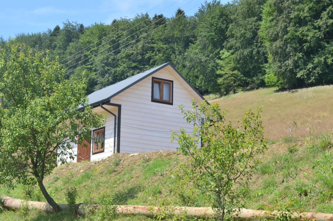 Domek Zacisze Gor Slonnych Tyrawa Woloska Exterior foto